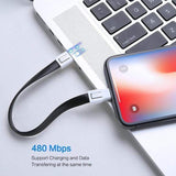 Otter's KeyChain Lighting / Micro USB Cable The Ambiguous Otter