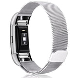 Fitbit Charge 2 & 3 Milanese Loop Band Silver / S--210mm--Charge 2 The Ambiguous Otter