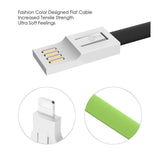 Otter's KeyChain Lighting / Micro USB Cable The Ambiguous Otter